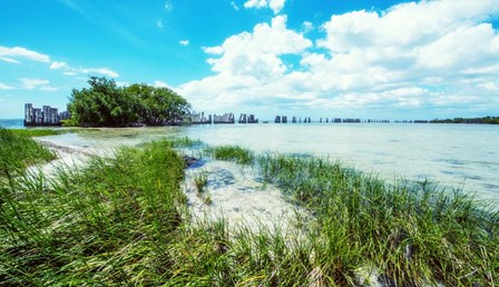 Tropical Coastline by Bill Carson Photography art print