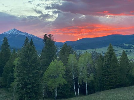 Sunset View From The Cabin by Anna Coppel art print