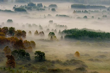 Autumn Dream by Roberto Marini art print