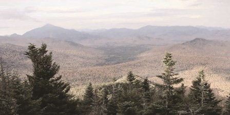 Adirondack Mountains 1 by Lori Deiter art print