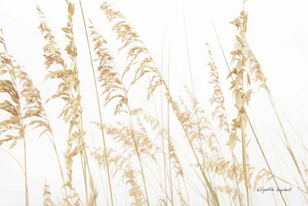 Blowing in the Wind II by Elizabeth Urquhart art print