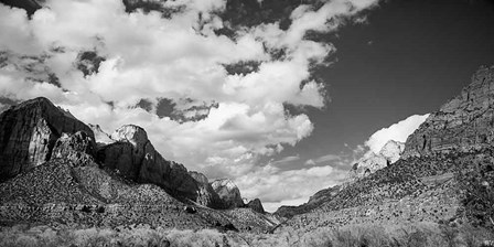 Zion Canyon II by Laura Marshall art print