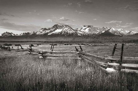 Stanley Basin Fence by Alan Majchrowicz art print