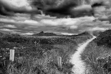 Nantucket Pathway by Aledanda art print