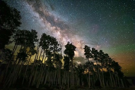 Stacked Pano Aspens by Royce Bair art print