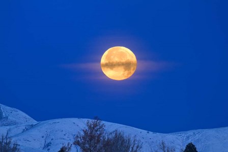 Moonset Oquirrh Mountain 1219 by Royce Bair art print