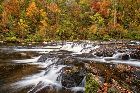 Autumn Bliss by Andy Crawford Photography art print