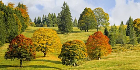 Autumn in Quebec by Pangea Images art print