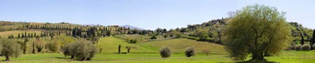 Val d&#39;Orcia, Siena, Tuscany by Pangea Images art print