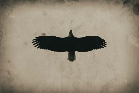 Eagle Pass by Nathan Larson art print