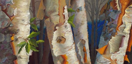 Birch Family by Sharon Weiser art print