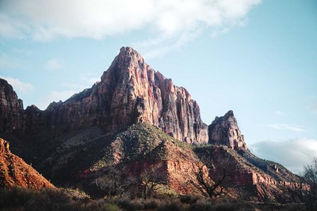 The Watchman I Color by Laura Marshall art print