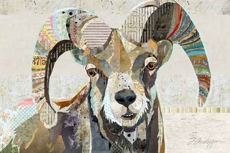 Wild Bighorn Sheep by Traci Anderson art print