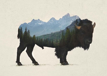 Grand Teton Bison by Davies Babies art print