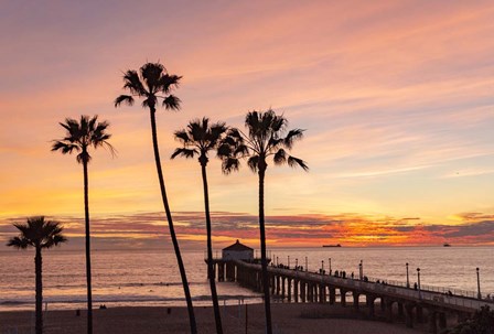 Sunset &amp; Palms by Jeff Poe Photography art print