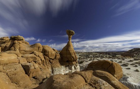 Toadstools by Jeff Poe Photography art print