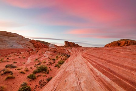 Desert by Jeff Poe Photography art print