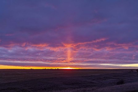 A Light Pillar Off the Rising Sun by Alan Dyer/Stocktrek Images art print