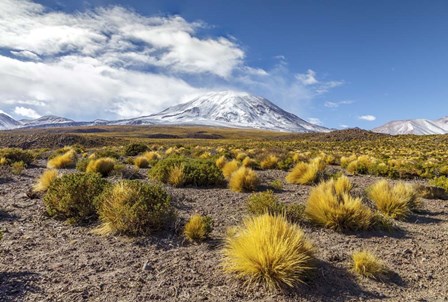 Lascar Volcano in Chile by Giulio Ercolani/Stocktrek Images art print