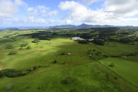 Wailua River State Park by Ryan Rossotto/Stocktrek Images art print