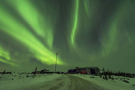 Aurora and Cassiopeia Over the Churchill Northern Studies Centre by Alan Dyer/Stocktrek Images art print