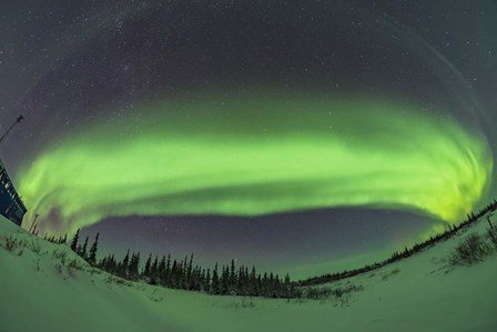 The Arc of the Auroral Oval Across the Northern Sky, in Churchill, Manitoba by Alan Dyer/Stocktrek Images art print