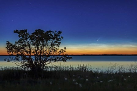 Comet NEOWISE Over Deadhorse Lake by Alan Dyer/Stocktrek Images art print