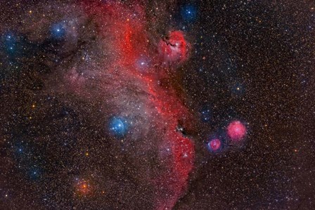 Seagull Nebula, Ic 2177 by Reinhold Wittich/Stocktrek Images art print