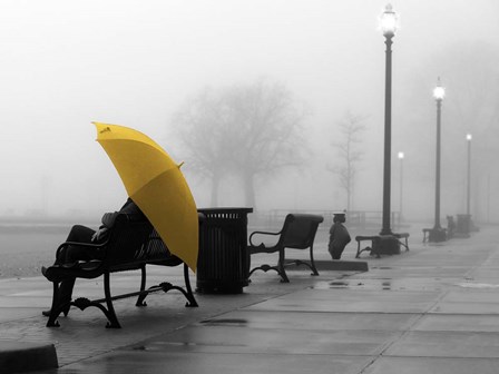 Sitting In The Rain by Sandro De Carvalho art print