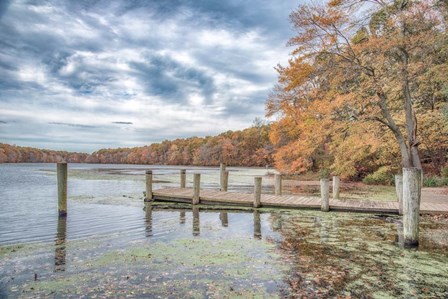 Blydenburg Park 2 by Pat DeLuca art print