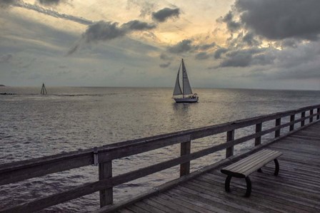 Cedar Beach by Pat DeLuca art print