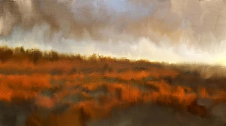 Marshland by Kimberly Allen art print