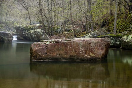 Richland Creek Tranquility by Andy Crawford Photography art print