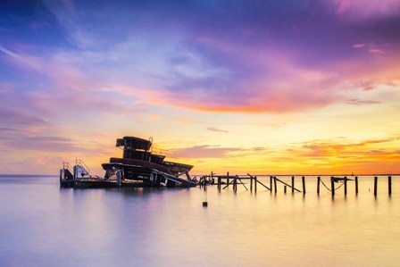 Bones of Lake Pontchartrain by Andy Crawford Photography art print