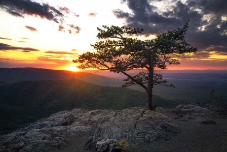 Sunset at Ravens Roost by Andy Crawford Photography art print