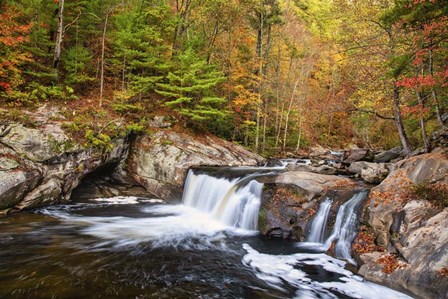 Baby Falls Tellico River 1 by Andy Crawford Photography art print