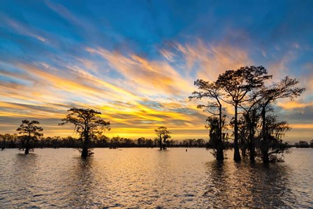 New Year Rising by Andy Crawford Photography art print