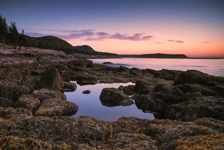 Sunrise at Ocean Path by Andy Crawford Photography art print