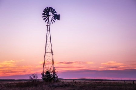 End of Day by Andy Crawford Photography art print