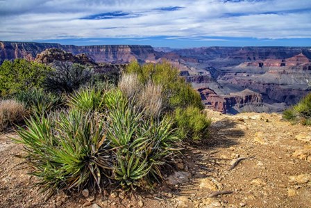 Edge of the Abyss by Andy Crawford Photography art print