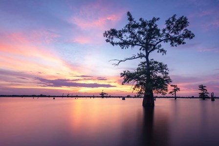 Summer Solstice Sunset by Andy Crawford Photography art print