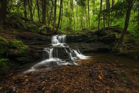 Logans Falls by Andy Crawford Photography art print