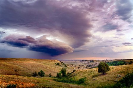 Thunder in the Badlands by Rick Berk art print