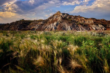 Summer Evening in the Badlands by Rick Berk art print