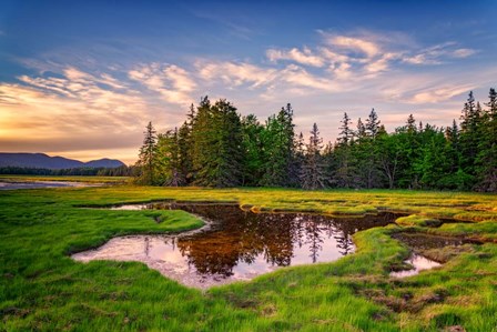 Spring Evening at Bass Harbor Marsh by Rick Berk art print