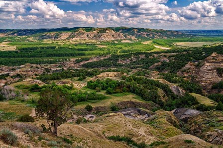 Oxbow Overlook by Rick Berk art print