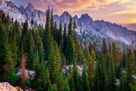 Morning in the Sawtooths by Rick Berk art print