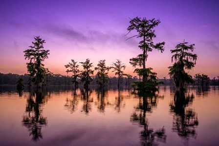 Lake Martin Twilight by Rick Berk art print