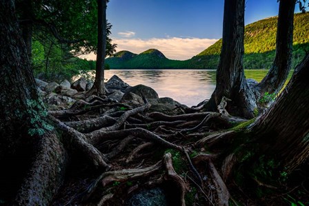 Jordan Pond Through The Trees by Rick Berk art print