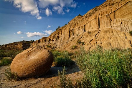 Cannonball Concretion by Rick Berk art print